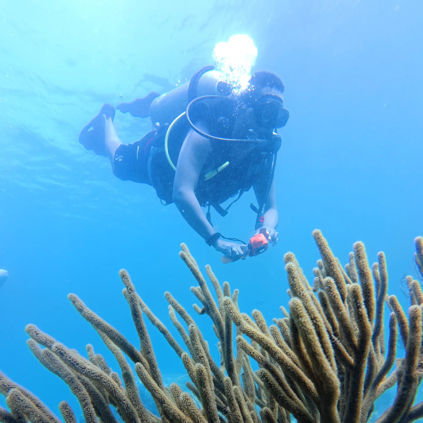Tu primera respiración bajo el mar: Por qué Karaya es el mejor lugar para empezar tu aventura 2