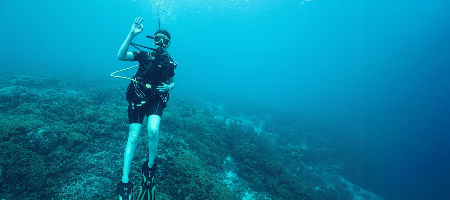 Menú Diver’s Special 1